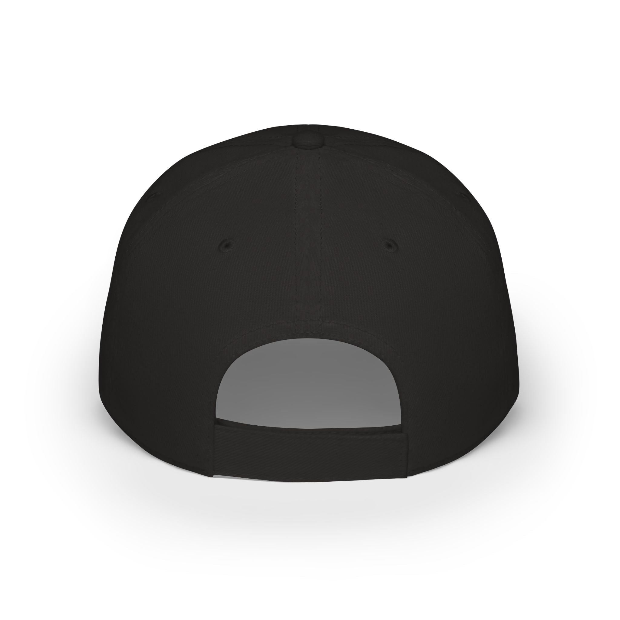 Low Profile Baseball Cap - "Alive Out of Spite" Embroidered Curved Brim Hat
